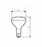 נורת חימום INFRARED 375W PHILIPS לבנה