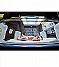 נורת DULUX L 18W/71 UV-A MEDICAL Therapy Jaundice