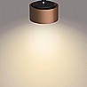 Ferano 2X4.3W By Philips