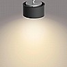 Ferano 2X4.3W By Philips