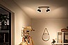 Ferano 2X4.3W By Philips