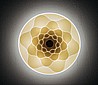 DROP By Light4