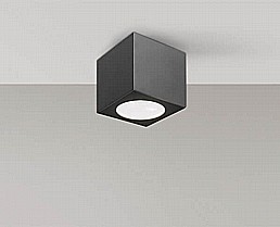 אלונסו צמוד אלונסו צמוד