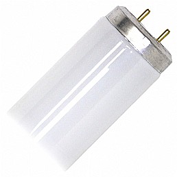 נורת פלורסנט T12 40W 5000K FULL SPECTRUM נורת פלורסנט T12 40W 5000K FULL SPECTRUM